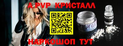 стаф Кингисепп