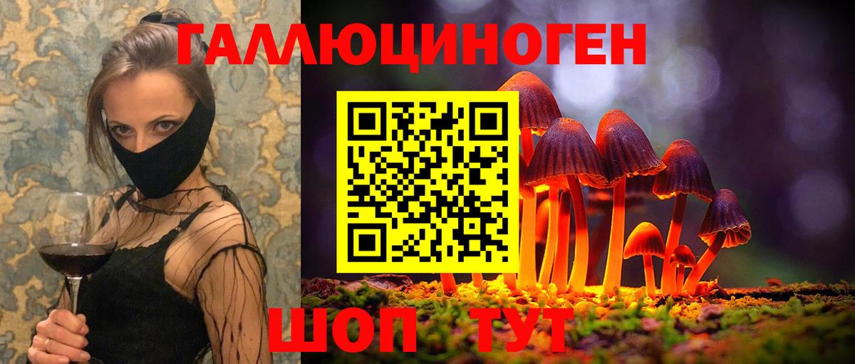 Галлюциногенные грибы Psilocybine cubensis Кунгур